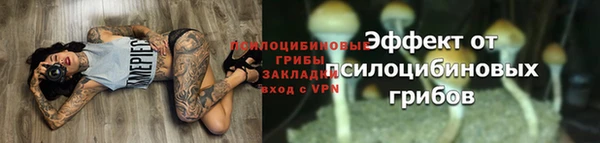 ПСИЛОЦИБИНОВЫЕ ГРИБЫ Лиски